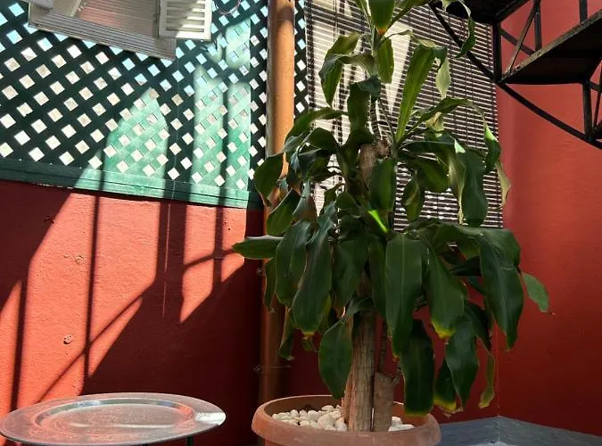 Apartment Dream Wish Santa Cruz de Tenerife