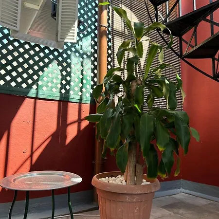 アパート Dream Wish サンタクルスデテネリフェ