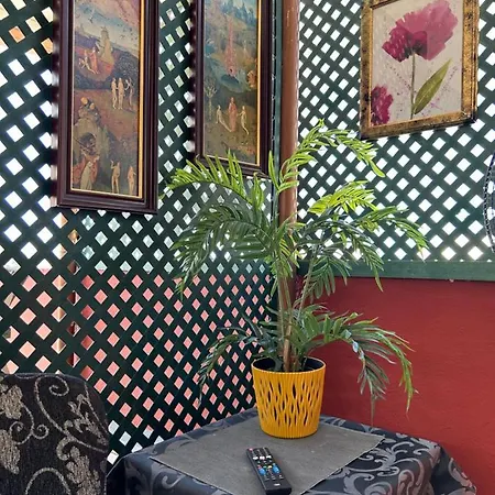 アパート Dream Wish サンタクルスデテネリフェ